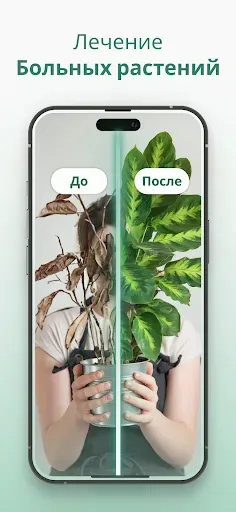 Скриншот 5 — Plantify Определитель Растений