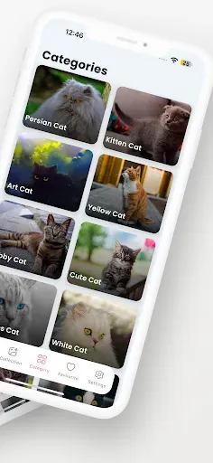 Скриншот 3 — Cute Cat Wallpapers HD - 4K