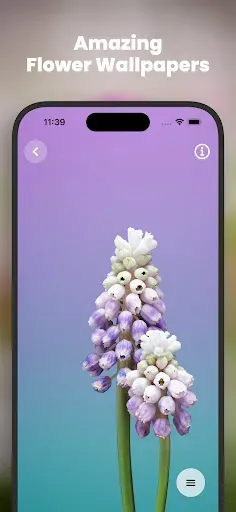 Скриншот 4 — Cool Flower Wallpapers 4K | HD