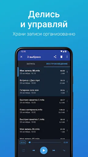 Скриншот 4 — Простой диктофон