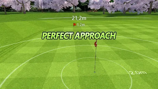 Скриншот 4 — Golf Star™