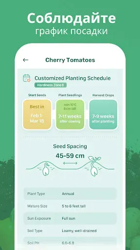Скриншот 2 — Blossom - Определение растений