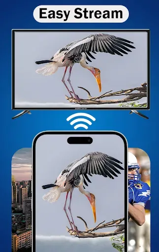 Скриншот 6 — MirrorLink