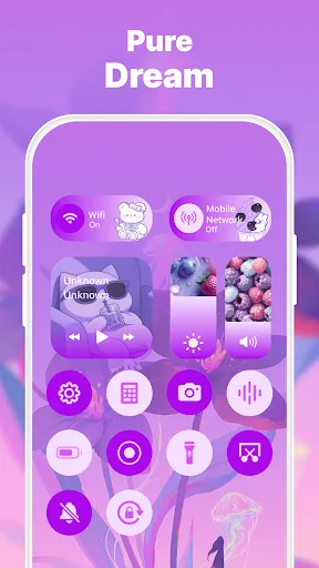 Скриншот 5 — Control Widget: Theme & Panels