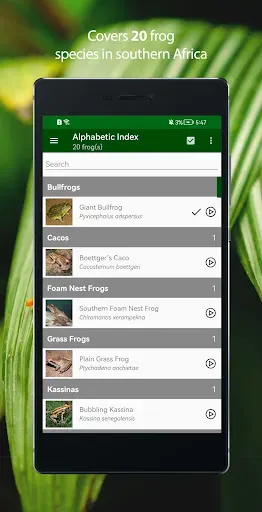 Скриншот 1 — Frogs of Southern Africa LITE