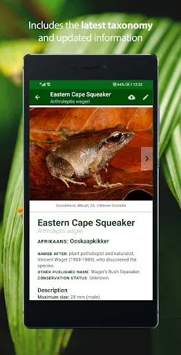 Скриншот 2 — Frogs of Southern Africa LITE