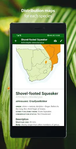 Скриншот 6 — Frogs of Southern Africa LITE