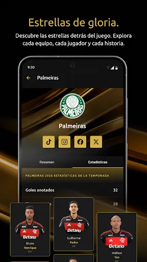 Скриншот 5 — CONMEBOL Libertadores