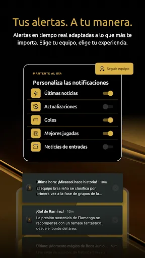 Скриншот 6 — CONMEBOL Libertadores