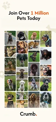 Скриншот 7 — Crumb: Keeping Your Pets Safe