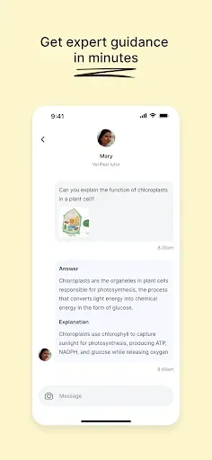 Скриншот 7 — Course Hero: AI Homework Help