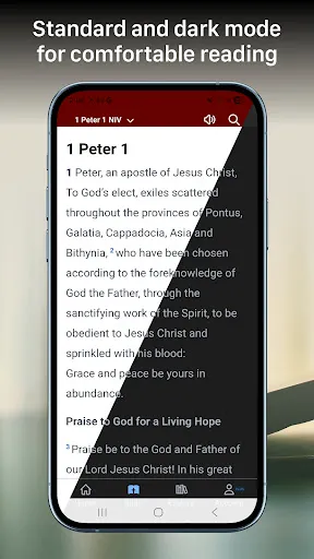 Скриншот 3 — Bible Gateway
