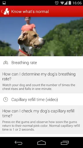 Скриншот 2 — Pet First Aid
