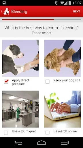 Скриншот 3 — Pet First Aid