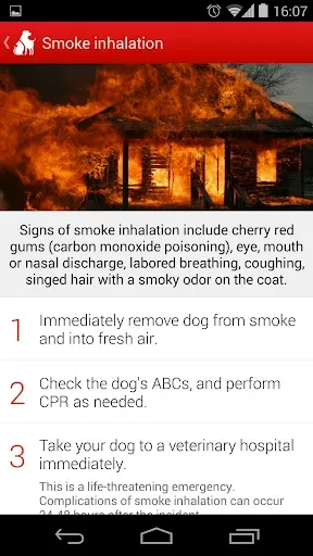 Скриншот 4 — Pet First Aid