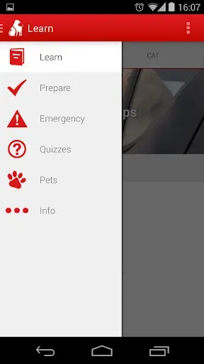 Скриншот 5 — Pet First Aid