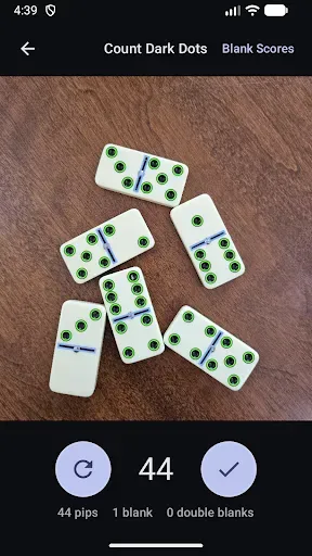 Скриншот 2 — Domino Dot Counter
