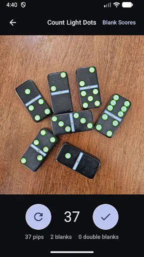 Скриншот 3 — Domino Dot Counter
