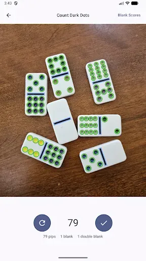 Скриншот 7 — Domino Dot Counter