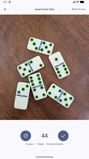 Скриншот 8 — Domino Dot Counter