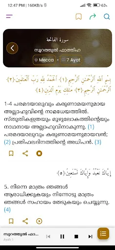Скриншот 2 — Quran Malayalam Vivarthanam