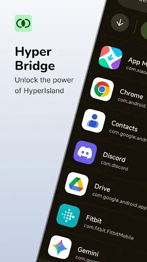 Скриншот 1 — Hyper Bridge