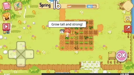 Скриншот 2 — The Farm : Sassy Princess