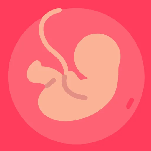 Gestational Age (baby's age)