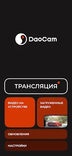 Скриншот 2 — Daocam Genom, Mirror