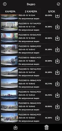 Скриншот 5 — Daocam Genom, Mirror