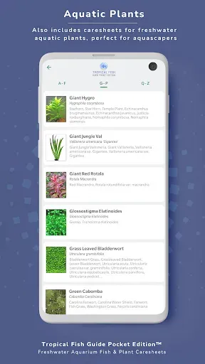 Скриншот 7 — Tropical Fish Guide Pocket Ed.