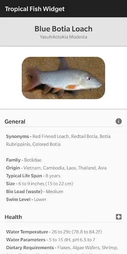 Скриншот 3 — Tropical Fish Widget