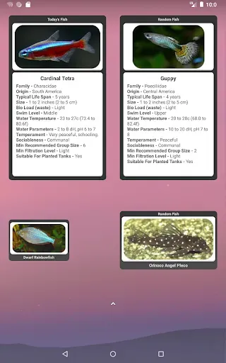 Скриншот 5 — Tropical Fish Widget