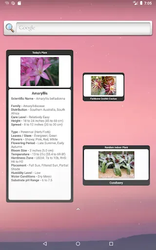Скриншот 7 — Indoor Plant Widget