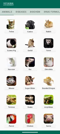 Скриншот 1 — Vet Nurse Quick Reference
