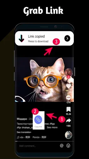 Скриншот 1 — Video Downloader TSaver