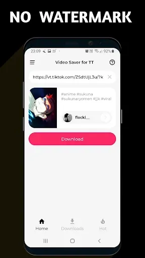 Скриншот 2 — Video Downloader TSaver
