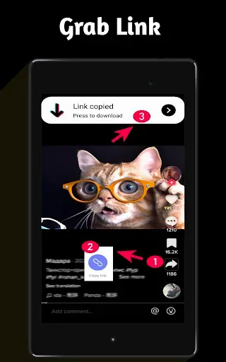 Скриншот 5 — Video Downloader TSaver