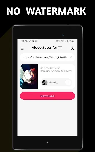 Скриншот 6 — Video Downloader TSaver