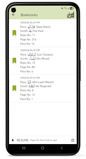 Скриншот 8 — Quraan-E-Karim (15 Lines)