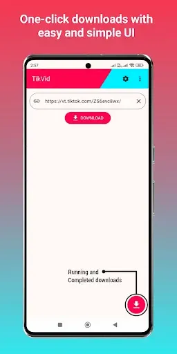 Скриншот 1 — TikVid - TikTok Downloader