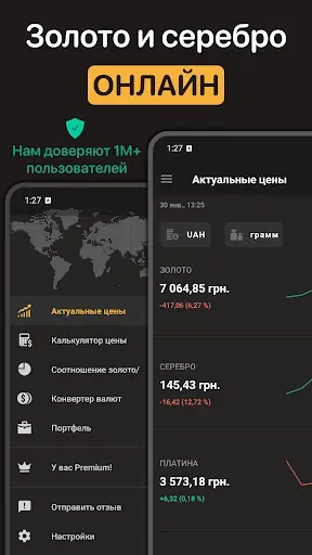 Скриншот 1 — Цена на Золото и Серебро