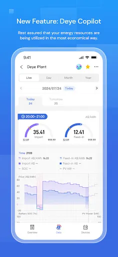 Скриншот 1 — Deye Cloud