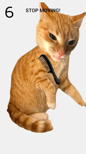 Скриншот 1 — Brush The Cat
