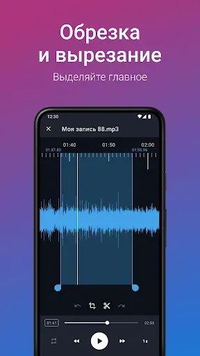 Скриншот 5 — Простой диктофон - про
