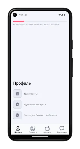 Скриншот 3 — Бюджет