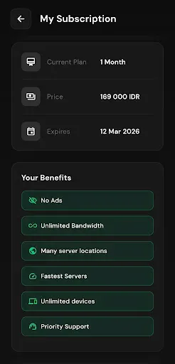 Скриншот 3 — Digital Shield VPN