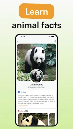 Скриншот 2 — Animal Identifier - iSpecies