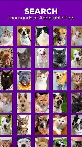 Скриншот 1 — Petfinder - Adopt a Pet