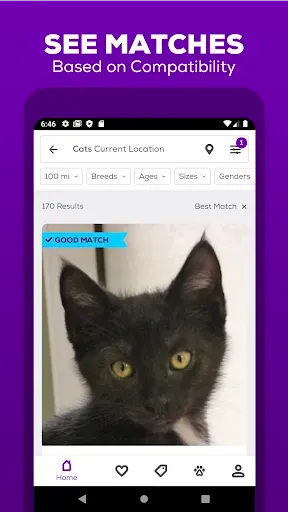 Скриншот 2 — Petfinder - Adopt a Pet